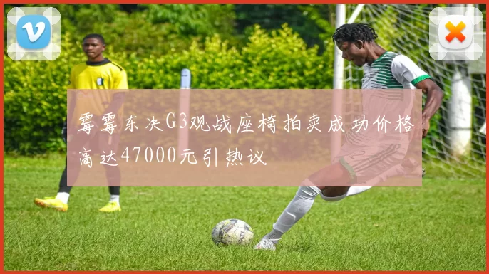 霉霉东决G3观战座椅拍卖成功价格高达47000元引热议